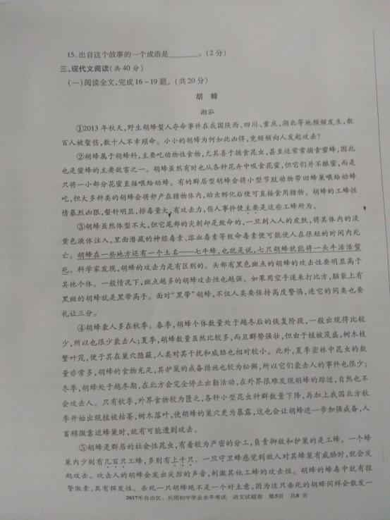 2017年新疆维吾尔中考语文真题图5