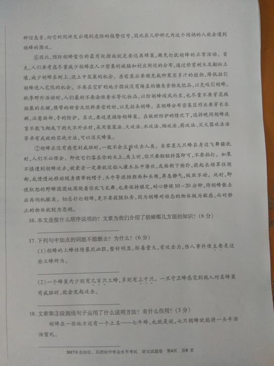 2017年新疆维吾尔中考语文真题图6