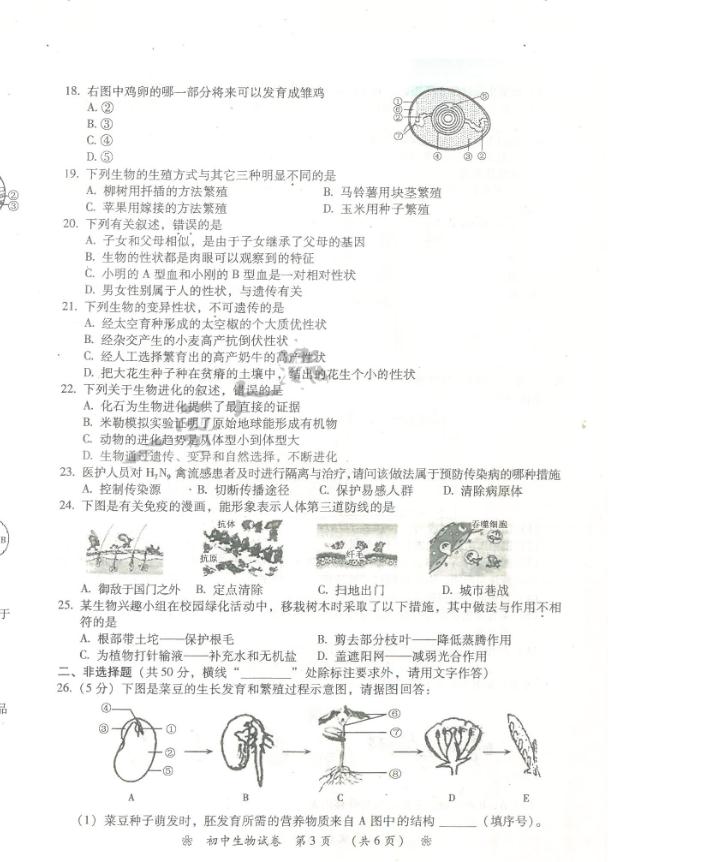 2017年湖南衡阳中考生物真题图3
