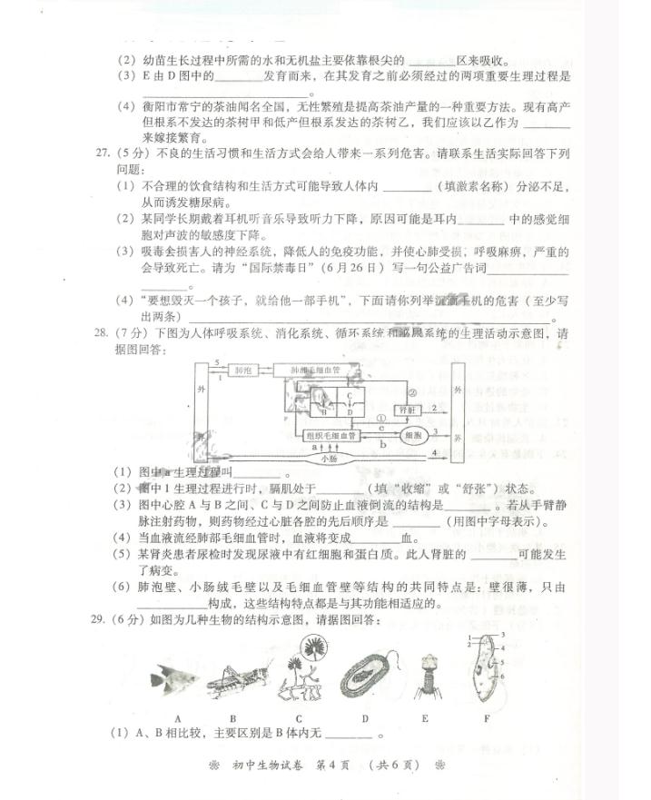 2017年湖南衡阳中考生物真题图4