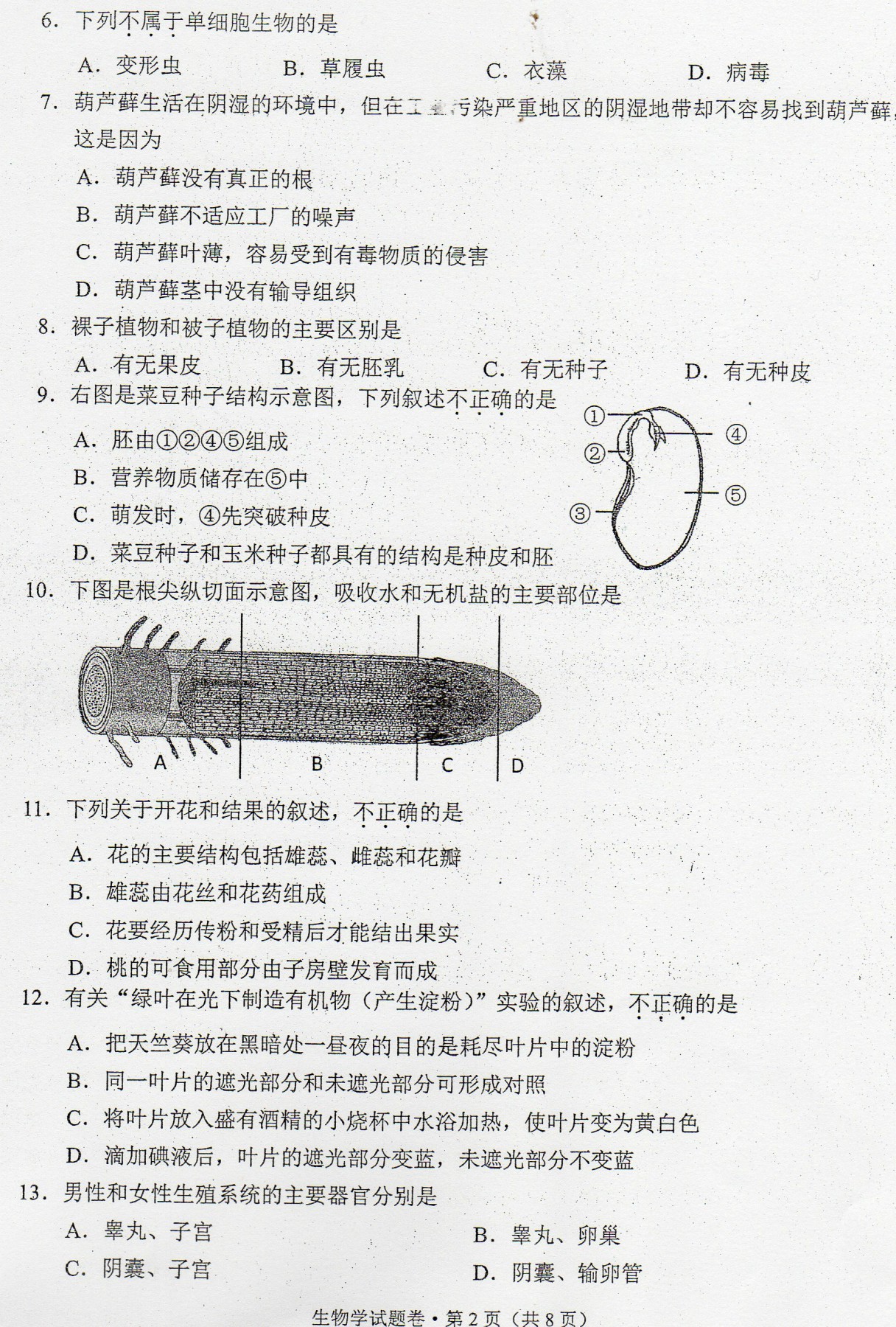 2017年云南西双版纳生物中考真题图2