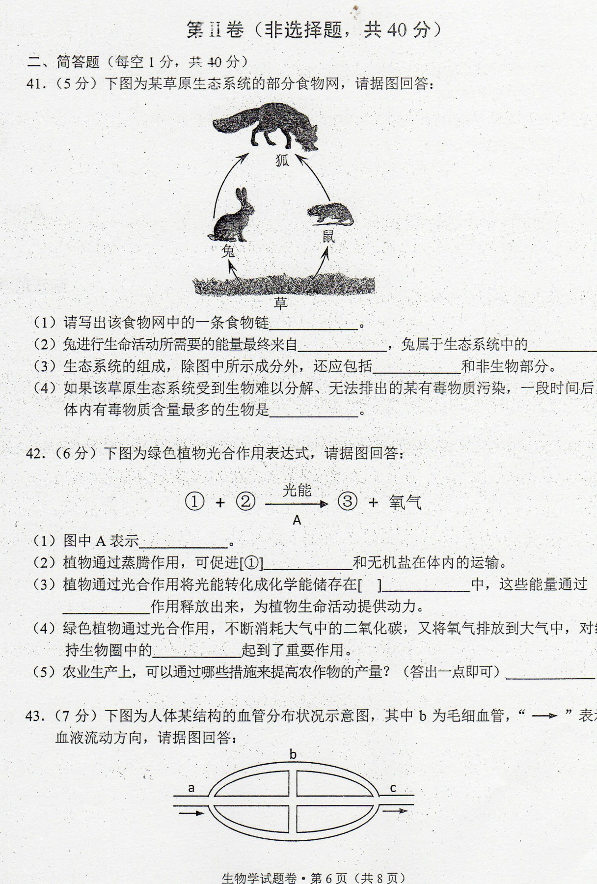 2017年云南西双版纳生物中考真题图6