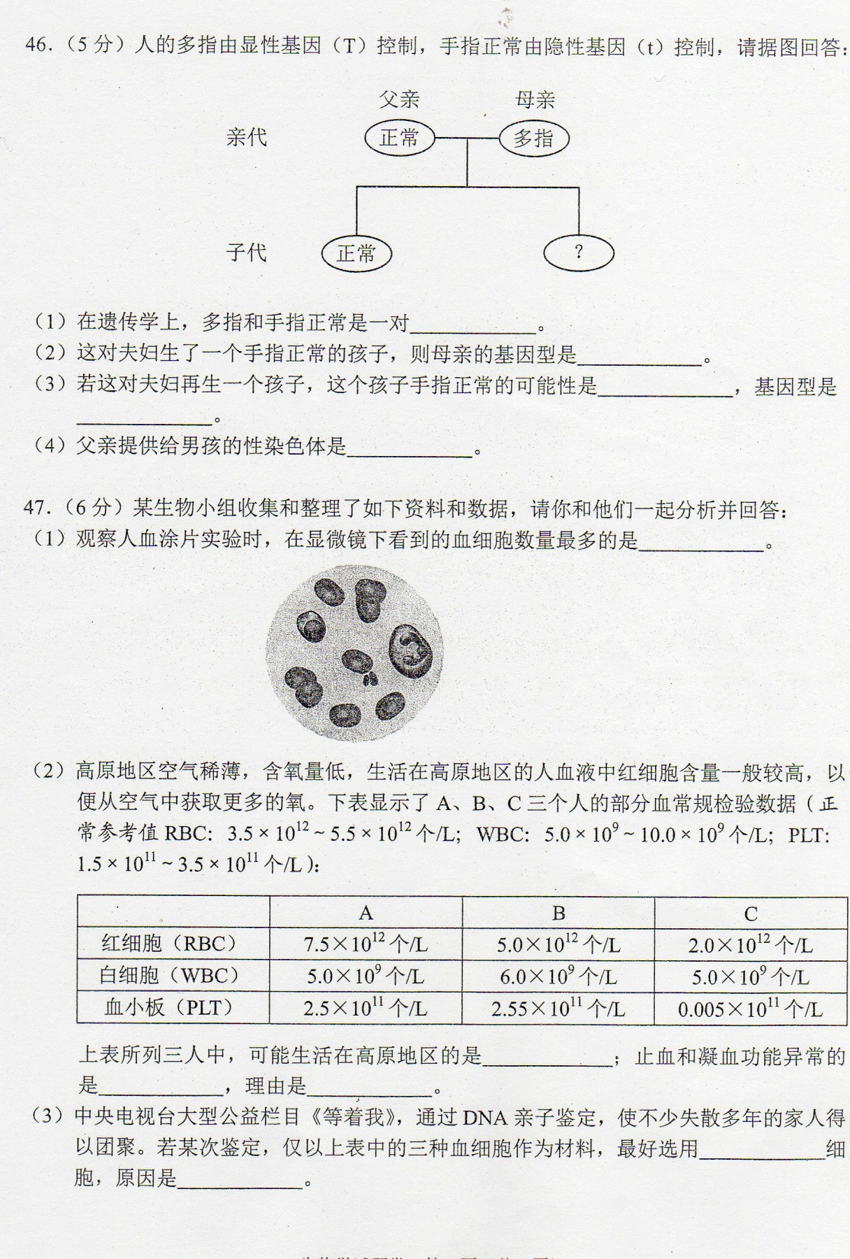 2017年云南西双版纳生物中考真题图8