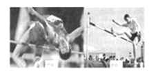 文本框: