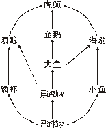 学科网(www.zxxk.com)--教育资源门户，提供试卷、教案、课件、论文、素材及各类教学资源下载，还有大量而丰富的教学相关资讯！