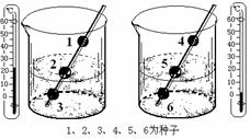 学科网(www.zxxk.com)--教育资源门户，提供试卷、教案、课件、论文、素材及各类教学资源下载，还有大量而丰富的教学相关资讯！