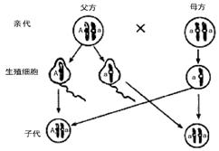 学科网(www.zxxk.com)--教育资源门户，提供试卷、教案、课件、论文、素材及各类教学资源下载，还有大量而丰富的教学相关资讯！