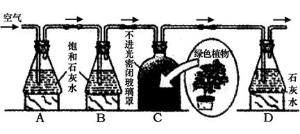 学科网(www.zxxk.com)--教育资源门户，提供试卷、教案、课件、论文、素材及各类教学资源下载，还有大量而丰富的教学相关资讯！