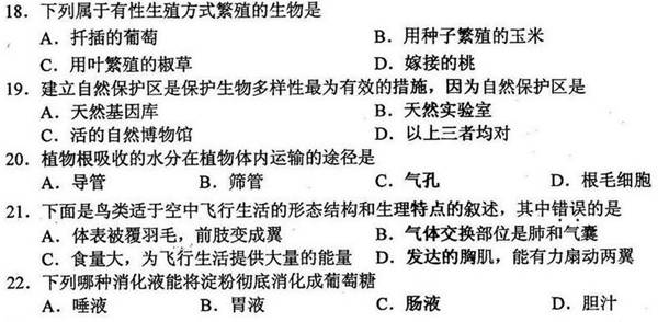 未命名10.jpg
