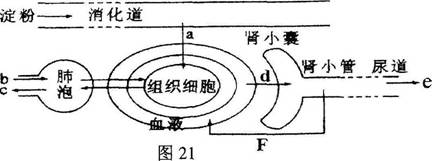 学科网(www.zxxk.com)--教育资源门户，提供试卷、教案、课件、论文、素材及各类教学资源下载，还有大量而丰富的教学相关资讯！