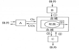 学科网(www.zxxk.com)--教育资源门户，提供试卷、教案、课件、论文、素材及各类教学资源下载，还有大量而丰富的教学相关资讯！