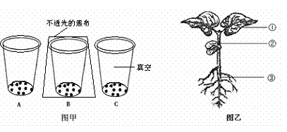 首页 中考生物 综合辅导