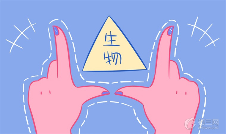 七年级下册生物知识点 必背重点考点总结