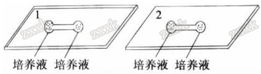 (www.zxxk.com)--教育资源门户，提供试卷、教案、课件、论文、素材及各类教学资源下载，还有大量而丰富的教学相关资讯！