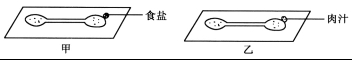 (www.zxxk.com)--教育资源门户，提供试卷、教案、课件、论文、素材及各类教学资源下载，还有大量而丰富的教学相关资讯！