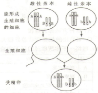 (www.zxxk.com)--教育资源门户，提供试卷、教案、课件、论文、素材及各类教学资源下载，还有大量而丰富的教学相关资讯！