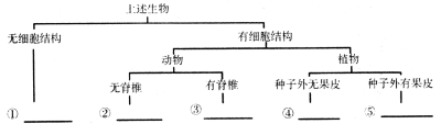 (www.zxxk.com)--教育资源门户，提供试卷、教案、课件、论文、素材及各类教学资源下载，还有大量而丰富的教学相关资讯！