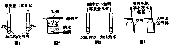 (www.zxxk.com)--教育资源门户，提供试卷、教案、课件、论文、素材及各类教学资源下载，还有大量而丰富的教学相关资讯！