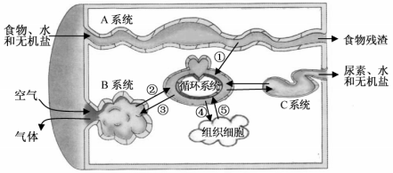 (www.zxxk.com)--教育资源门户，提供试卷、教案、课件、论文、素材及各类教学资源下载，还有大量而丰富的教学相关资讯！