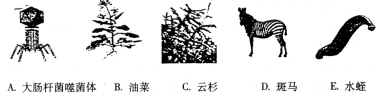 (www.zxxk.com)--教育资源门户，提供试卷、教案、课件、论文、素材及各类教学资源下载，还有大量而丰富的教学相关资讯！