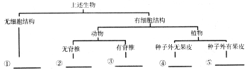 (www.zxxk.com)--教育资源门户，提供试卷、教案、课件、论文、素材及各类教学资源下载，还有大量而丰富的教学相关资讯！