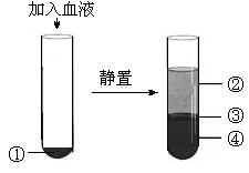 (www.zxxk.com)--教育资源门户，提供试卷、教案、课件、论文、素材及各类教学资源下载，还有大量而丰富的教学相关资讯！