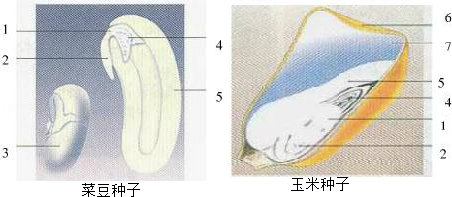 菁优网：http://www.jyeoo.com