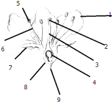 菁优网：http://www.jyeoo.com