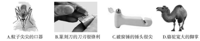 (www.zxxk.com)--教育资源门户，提供试卷、教案、课件、论文、素材及各类教学资源下载，还有大量而丰富的教学相关资讯！