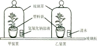 (www.zxxk.com)--教育资源门户，提供试卷、教案、课件、论文、素材及各类教学资源下载，还有大量而丰富的教学相关资讯！