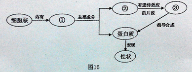 (www.zxxk.com)--教育资源门户，提供试卷、教案、课件、论文、素材及各类教学资源下载，还有大量而丰富的教学相关资讯！