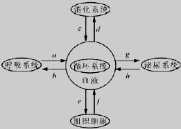 (www.zxxk.com)--教育资源门户，提供试卷、教案、课件、论文、素材及各类教学资源下载，还有大量而丰富的教学相关资讯！