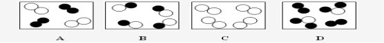 www.dearedu.com