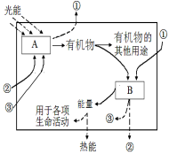 (www.zxxk.com)--教育资源门户，提供试卷、教案、课件、论文、素材及各类教学资源下载，还有大量而丰富的教学相关资讯！