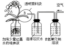 (www.zxxk.com)--教育资源门户，提供试卷、教案、课件、论文、素材及各类教学资源下载，还有大量而丰富的教学相关资讯！