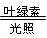 3edu教育网，免费教育资源集散地。