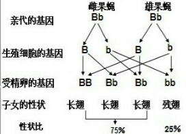 菁优网：http://www.jyeoo.com