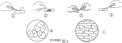 (www.zxxk.com)--教育资源门户，提供试卷、教案、课件、论文、素材及各类教学资源下载，还有大量而丰富的教学相关资讯！