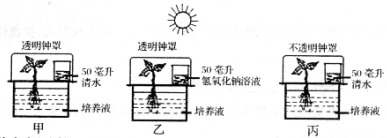 (www.zxxk.com)--教育资源门户，提供试卷、教案、课件、论文、素材及各类教学资源下载，还有大量而丰富的教学相关资讯！