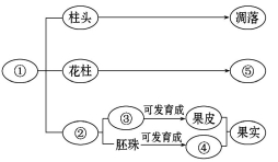 (www.zxxk.com)--教育资源门户，提供试卷、教案、课件、论文、素材及各类教学资源下载，还有大量而丰富的教学相关资讯！