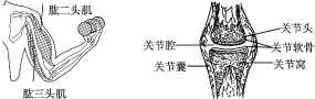(www.zxxk.com)--教育资源门户，提供试卷、教案、课件、论文、素材及各类教学资源下载，还有大量而丰富的教学相关资讯！
