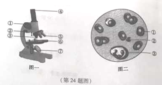 C:\Users\Administrator\Pictures\捕获.PNG