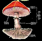 (www.zxxk.com)--教育资源门户，提供试卷、教案、课件、论文、素材及各类教学资源下载，还有大量而丰富的教学相关资讯！
