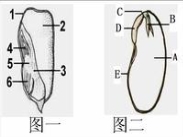 (www.zxxk.com)--教育资源门户，提供试卷、教案、课件、论文、素材及各类教学资源下载，还有大量而丰富的教学相关资讯！