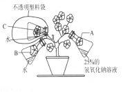 (www.zxxk.com)--教育资源门户，提供试卷、教案、课件、论文、素材及各类教学资源下载，还有大量而丰富的教学相关资讯！