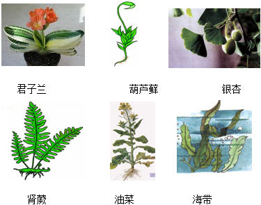 (www.zxxk.com)--教育资源门户，提供试卷、教案、课件、论文、素材及各类教学资源下载，还有大量而丰富的教学相关资讯！