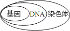 (www.zxxk.com)--教育资源门户，提供试卷、教案、课件、论文、素材及各类教学资源下载，还有大量而丰富的教学相关资讯！