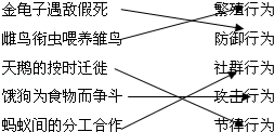 (www.zxxk.com)--教育资源门户，提供试卷、教案、课件、论文、素材及各类教学资源下载，还有大量而丰富的教学相关资讯！