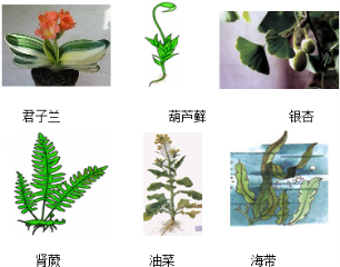 (www.zxxk.com)--教育资源门户，提供试卷、教案、课件、论文、素材及各类教学资源下载，还有大量而丰富的教学相关资讯！