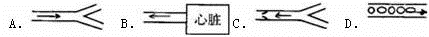 (www.zxxk.com)--教育资源门户，提供试卷、教案、课件、论文、素材及各类教学资源下载，还有大量而丰富的教学相关资讯！